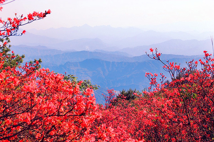 融水元宝山国家级自然保护区