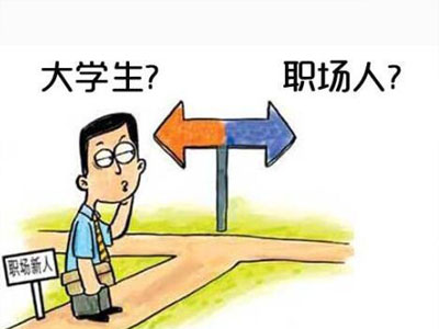 初入职场的我们：在迷茫与希望中前行